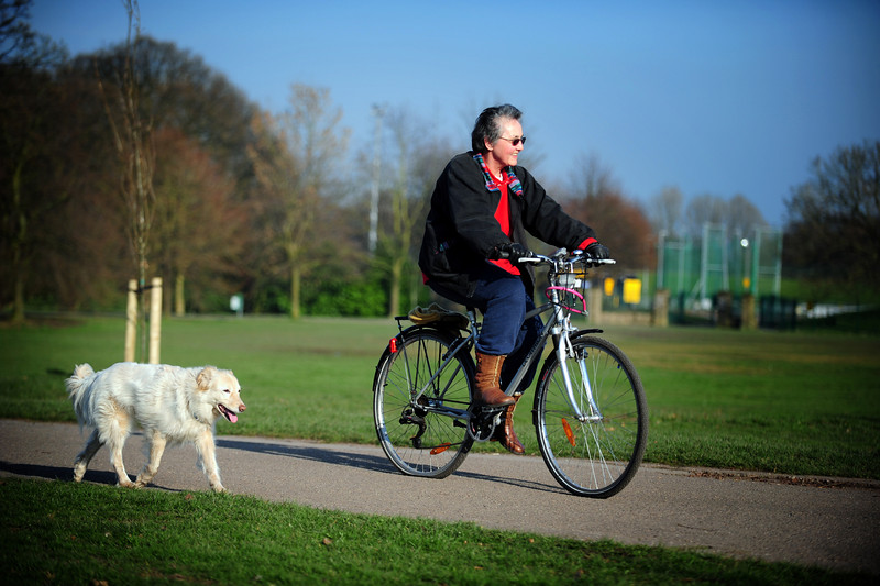 highways transport cycling adult cycle training highways transport cycling adult cycle training