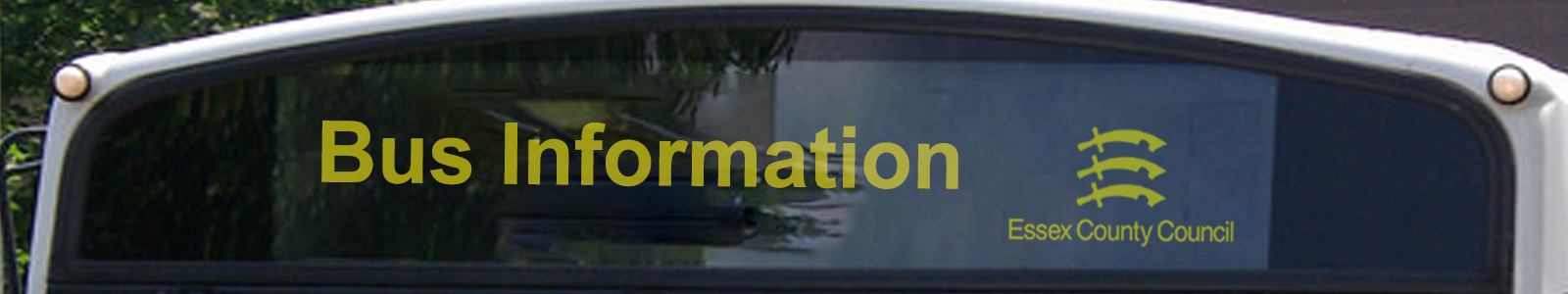 Get Essex County Council Covid Pics