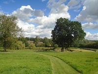 Along the walk in Greenstead Green there are fantastic views of the countryside, including this view of a large pond surronded by trees