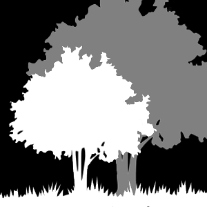 Trees, hedges and weeds