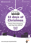 12 days of Christmas at Colchester Park and Ride