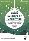 12 days of Christmas at Chelmsford Park and Ride